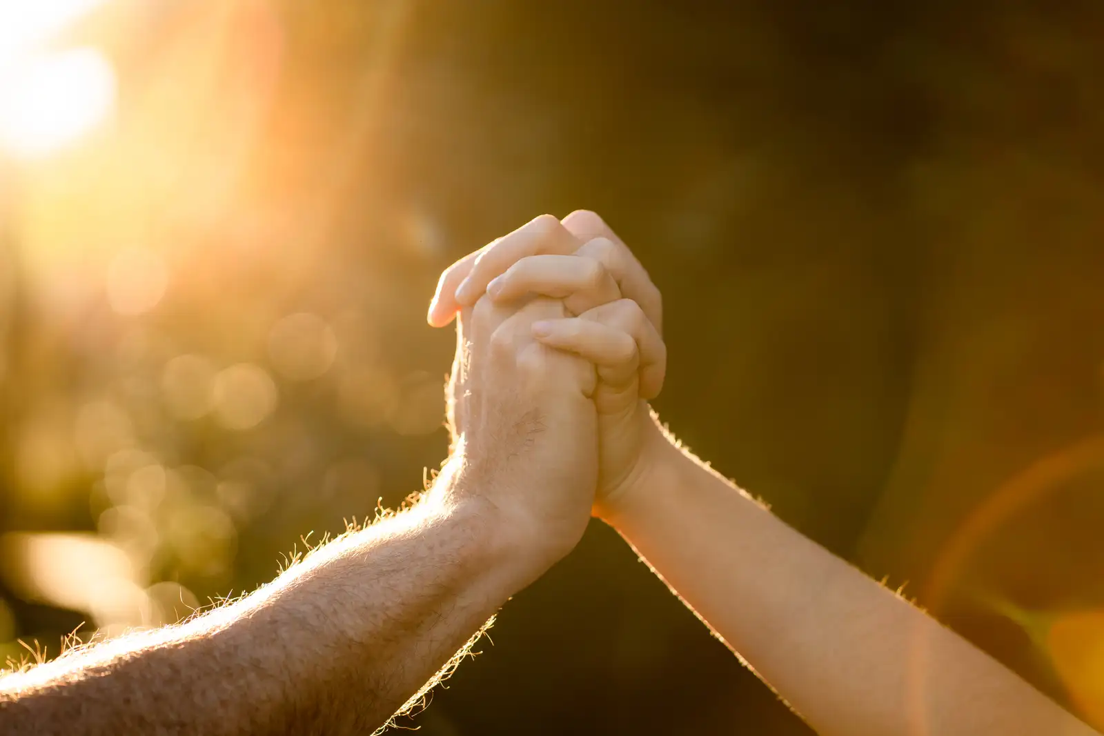 Two people clasping hands warmly in golden afternoon light